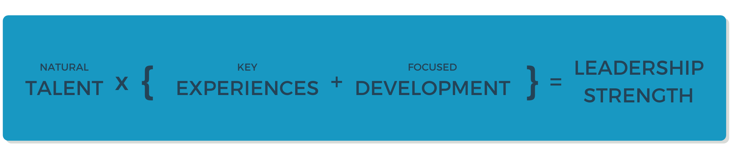 Gallup's Leadership Development Framework